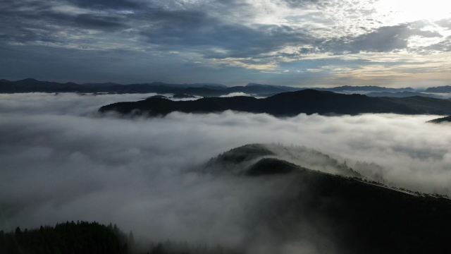 水城国家杜鹃公园旅行图片 1