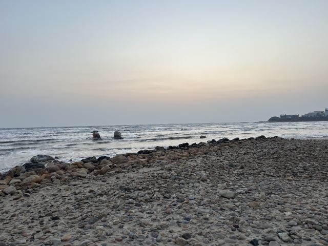 鸽子窝公园旅行图片 1