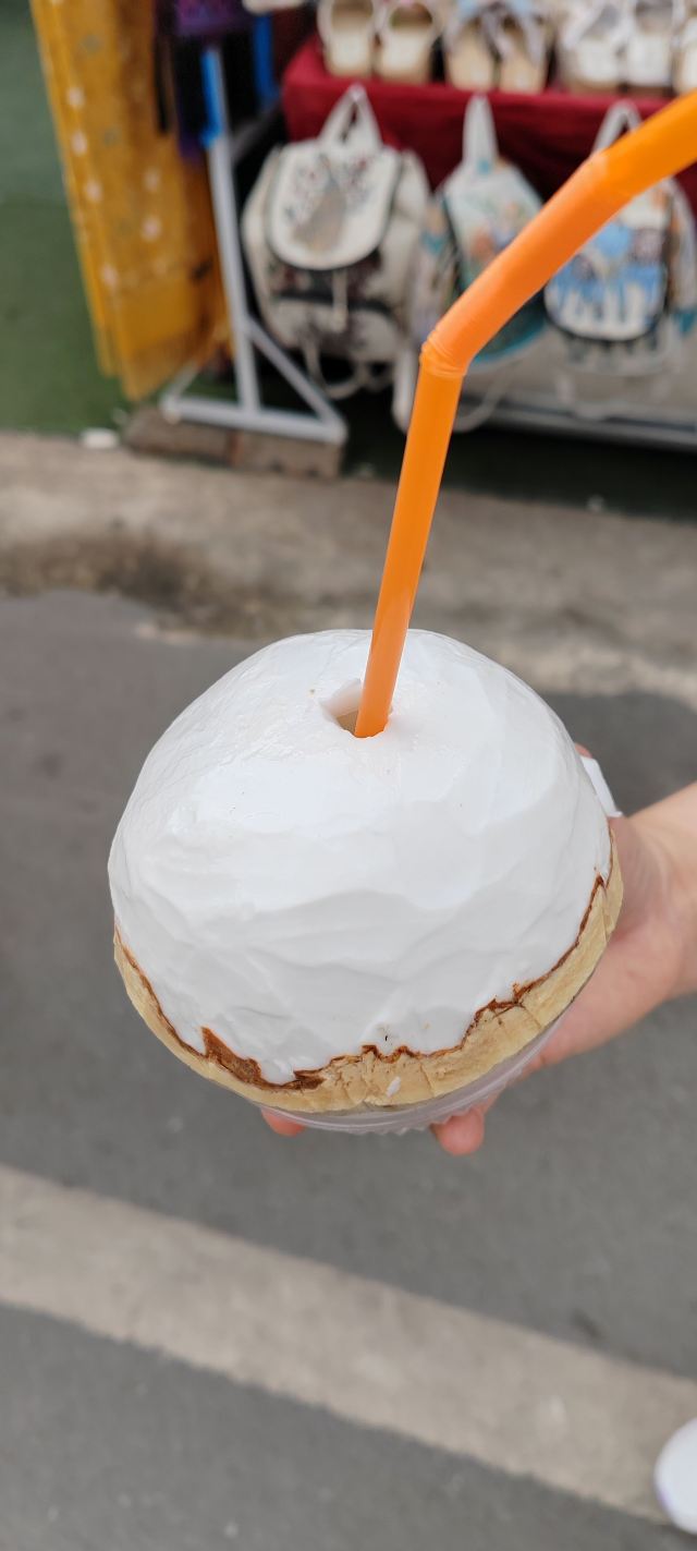 西双版纳傣族园旅行图片 1