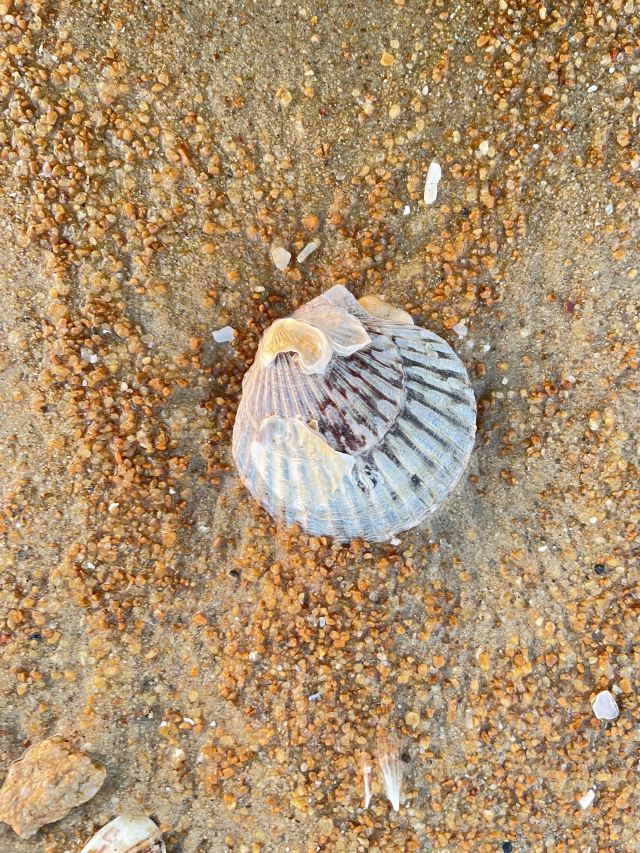 威海国际海水浴场旅行图片 8