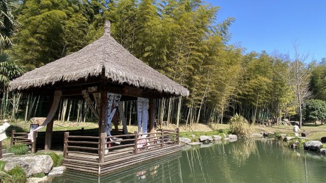 绍兴东湖风景区旅行图片 3