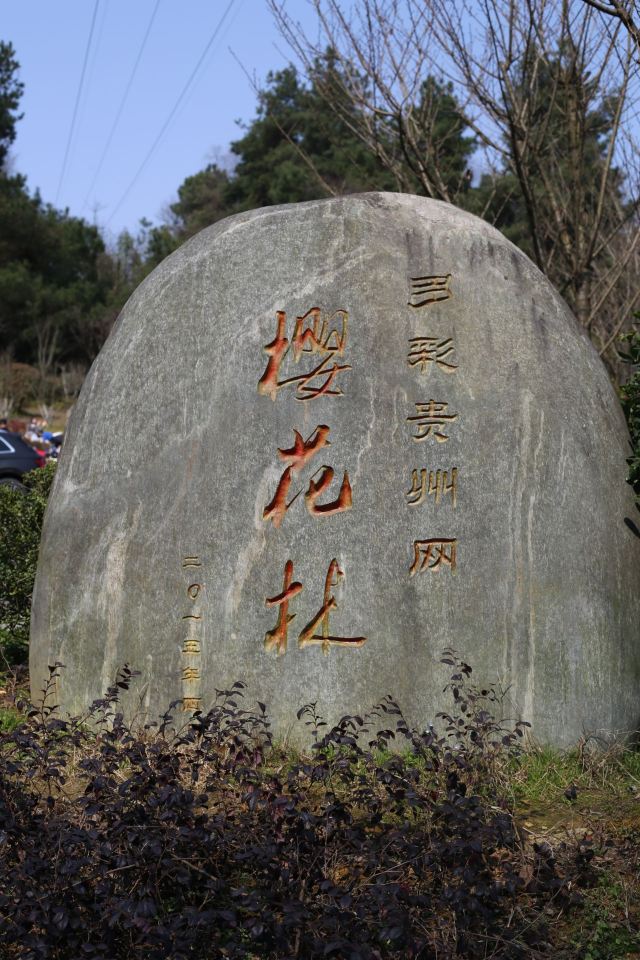 长坡岭国家森林公园旅行图片 14