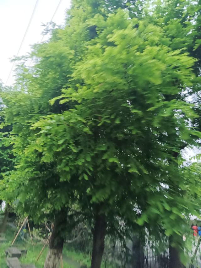 漕河泾开发区科创公园旅行图片 2