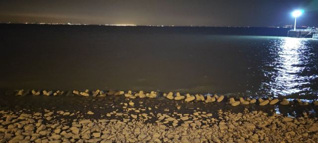 南门景观大堤旅行图片 9