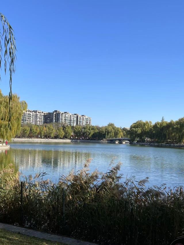 陶然亭旅行图片 3