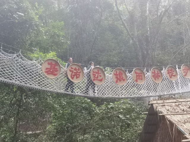 基诺山达娘雨林徒步旅行图片 4