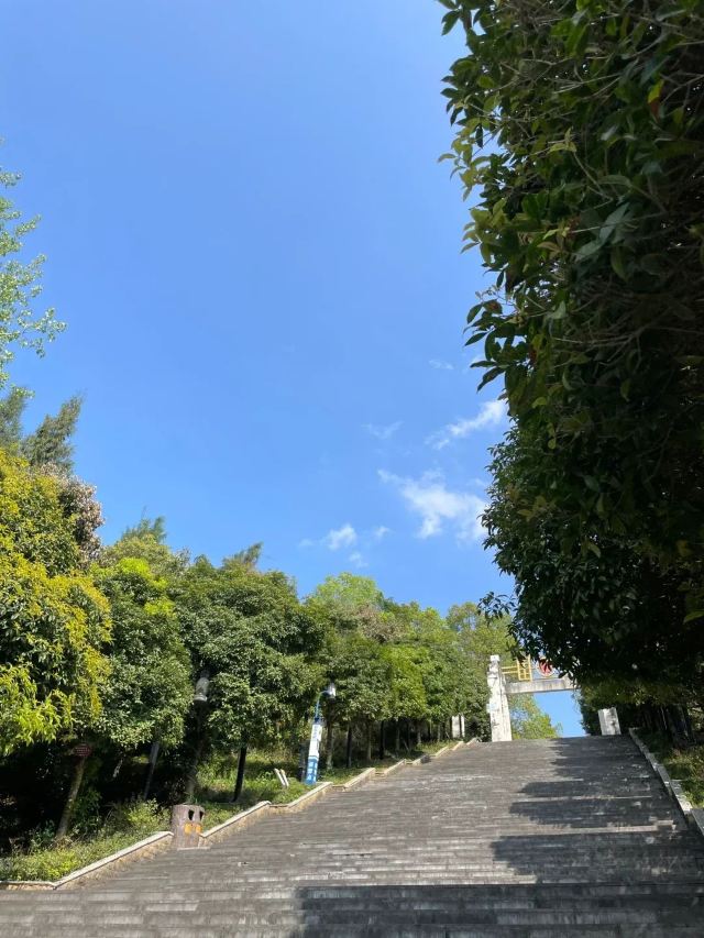 凤凰山公园旅行图片 3