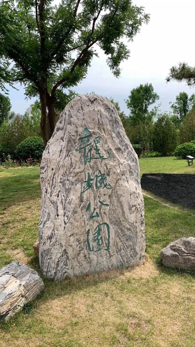 龙城森林公园旅行图片 3
