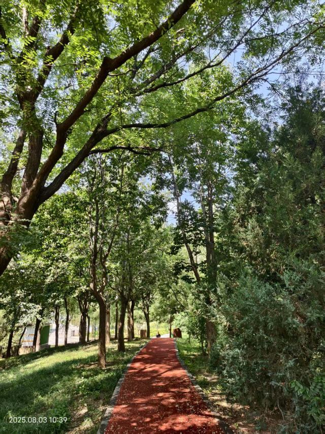 老山城市休闲公园旅行图片 13