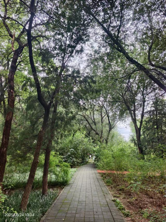 老山城市休闲公园旅行图片 7