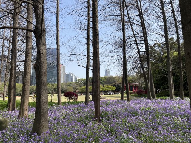 古城公园旅行图片 3