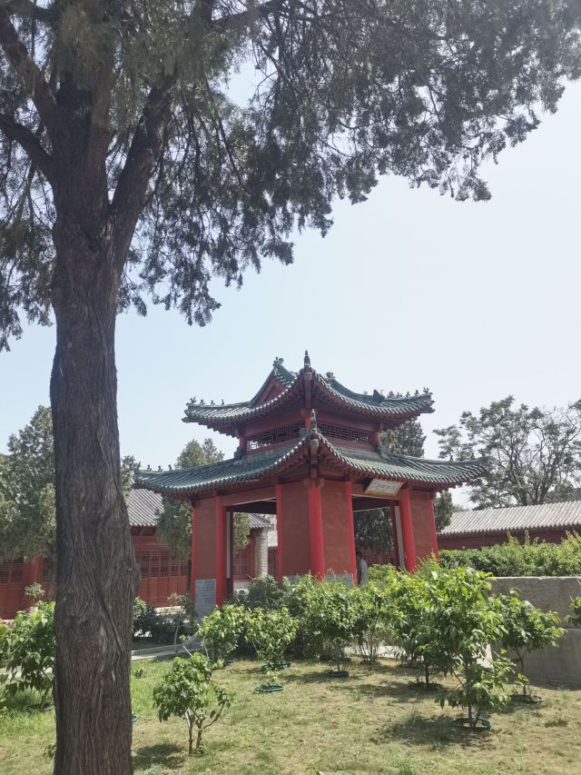 孔庙旅行图片 5
