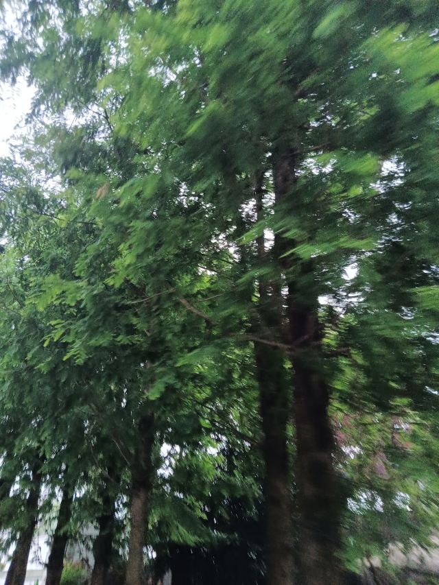 漕河泾开发区科创公园旅行图片 4