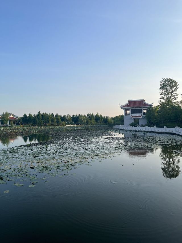 马銮湾双溪湿地公园旅行图片 4