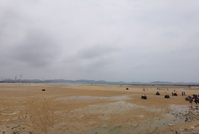 蓝眼泪观景点(长江澳海滩)旅行图片 2