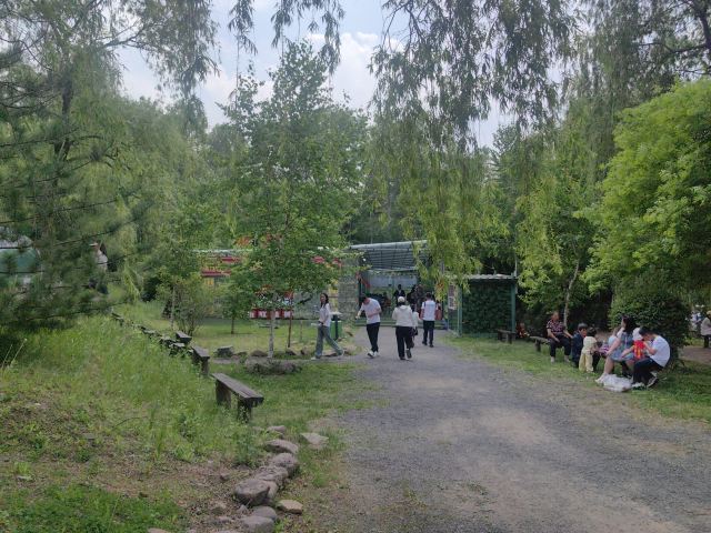 鸡冠山国家森林公园旅行图片 4