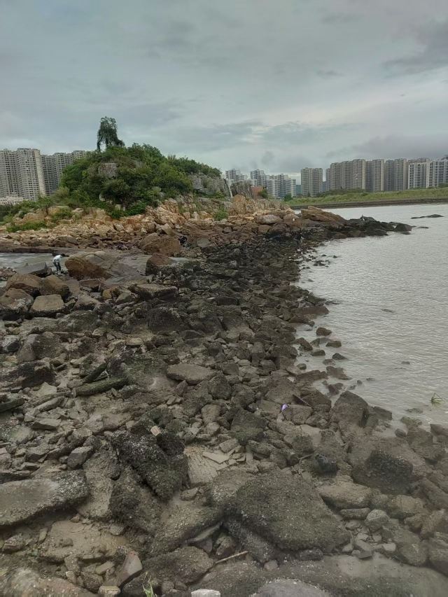 礁石公园旅行图片 2