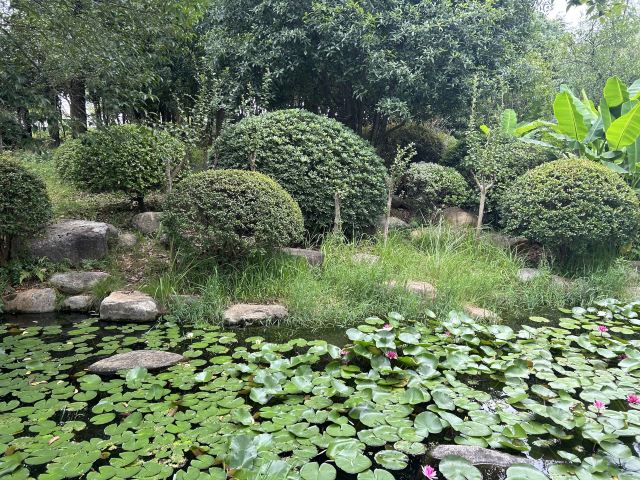 湘府文化公园旅行图片 1