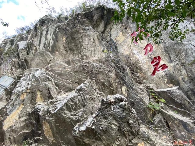黔灵山公园旅行图片 4