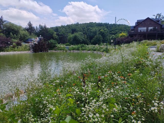 本溪市青云山风景区(暂停开放)旅行图片 4