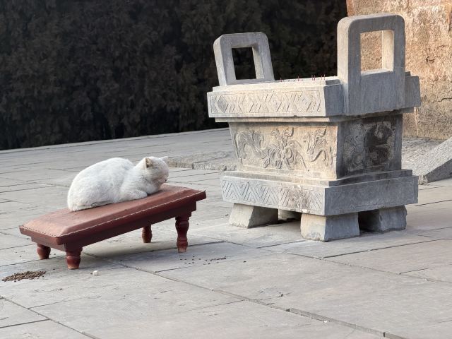 四门塔旅行图片 2