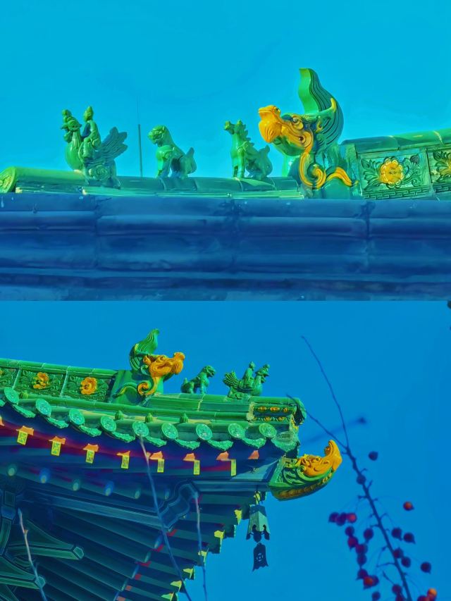 圆通寺旅行图片 7
