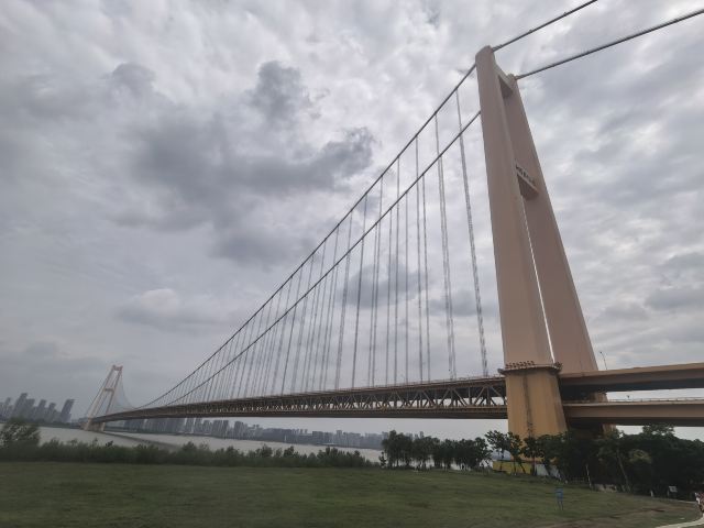 杨泗港大桥江滩公园旅行图片 1