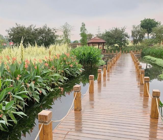那考河湿地公园旅行图片 6