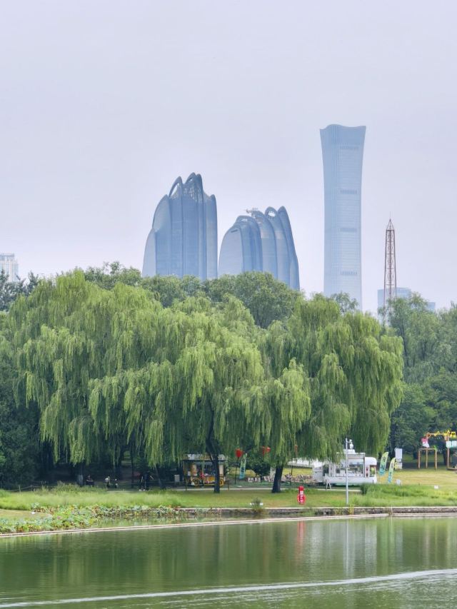 朝阳公园旅行图片 9