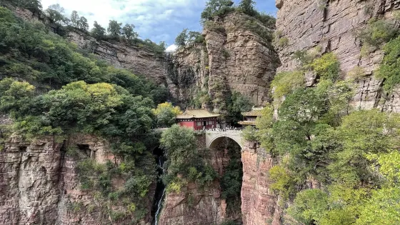 碧澗靈檀