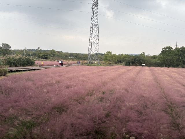 郭兴庄园旅行图片 3