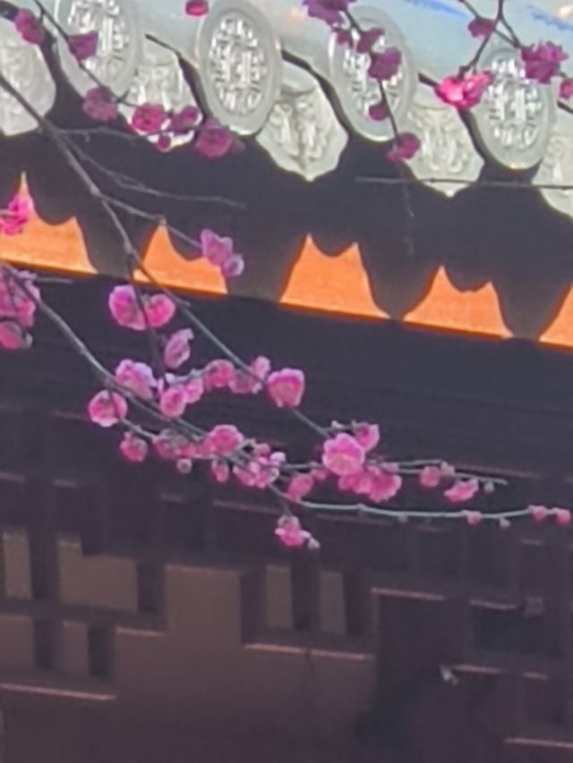 湖州铁佛寺旅行图片 4
