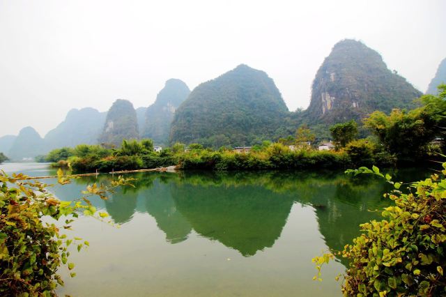 梦幻遇龙花映稻香景区旅行图片 3
