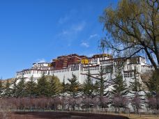 布达拉宫白宫-拉萨-kireey