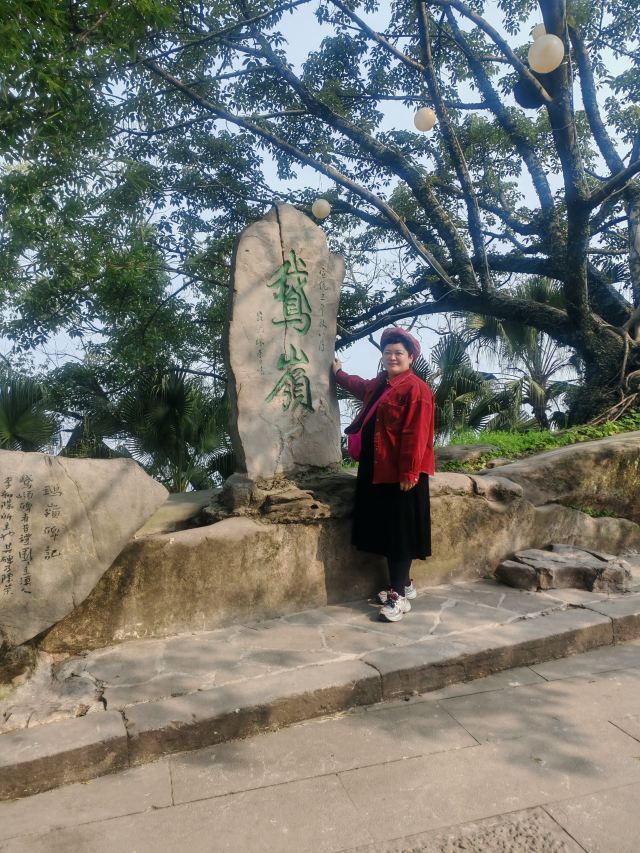 鹅岭公园旅行图片 5