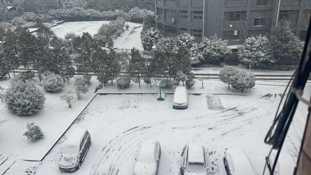 桂阳文化园旅行图片 10