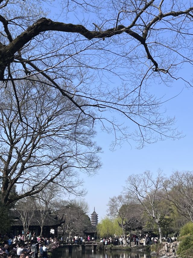 报恩寺旅行图片 3