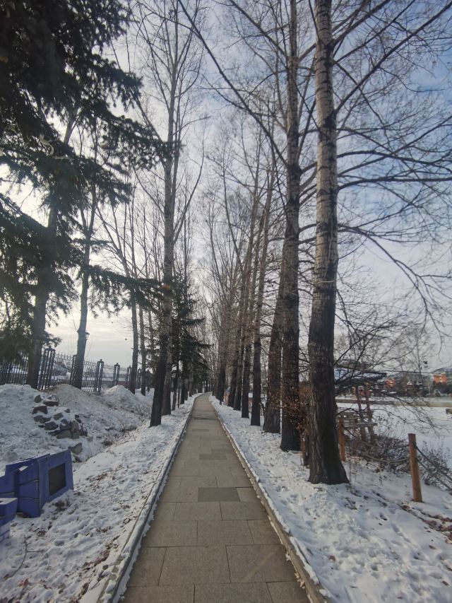 东湖公园旅行图片 3