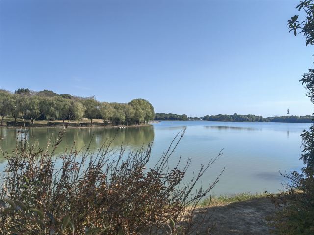 大纵湖旅游度假区旅行图片 3
