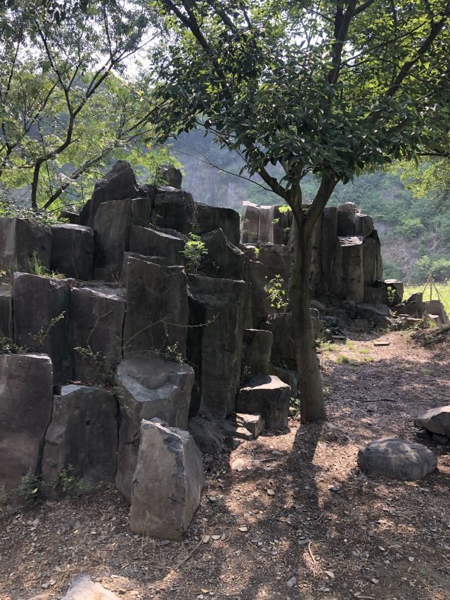 仪征捺山地质公园旅行图片 1