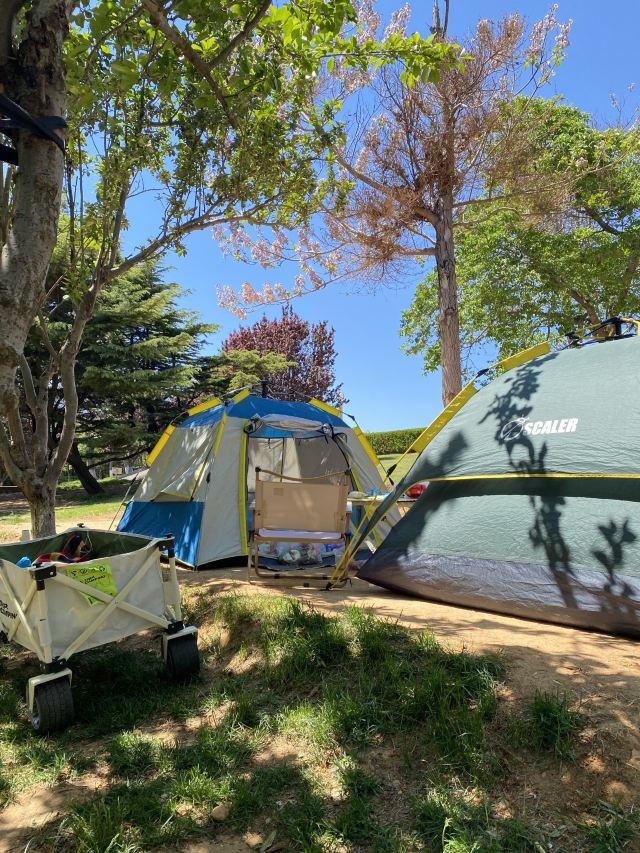 鼎山公园旅行图片 1