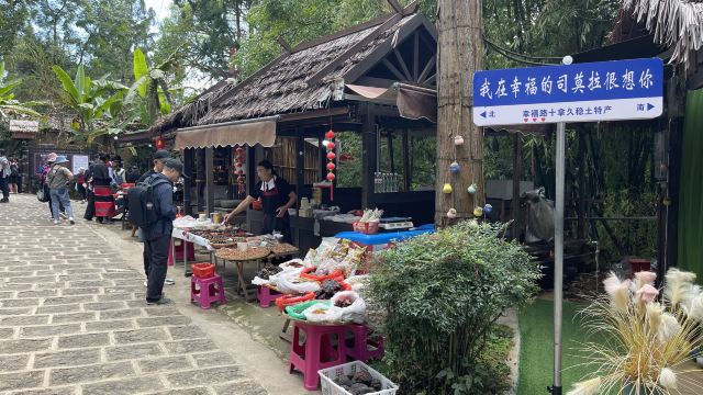 司莫拉佤族村-游览车乘坐区旅行图片 10