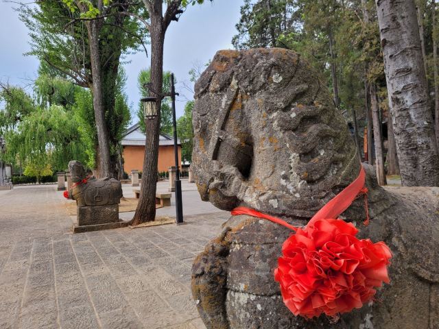 景风公园旅行图片 3
