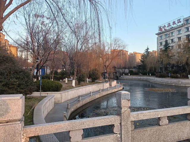 青小园-香蜜湖口袋公园旅行图片 4