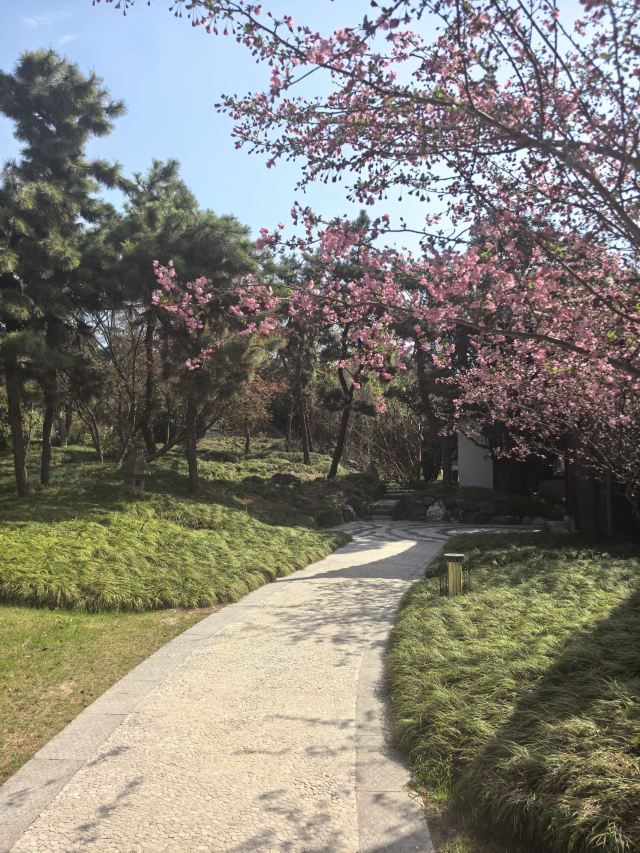 瓜洲古渡公园旅行图片 7