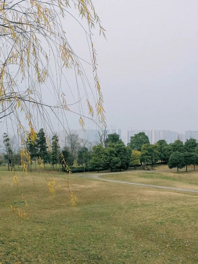 凤凰山公园旅行图片 3