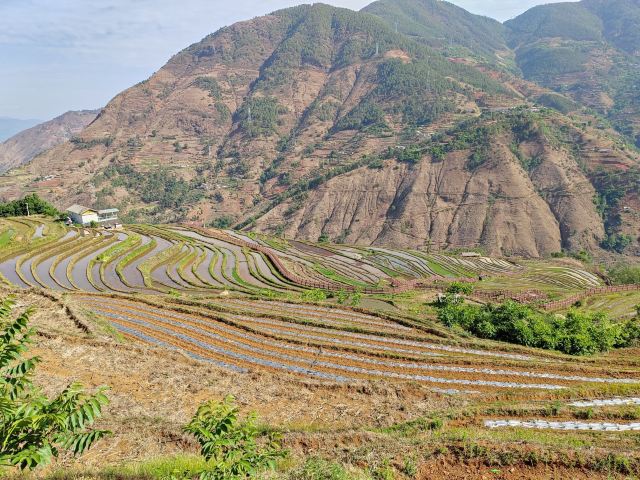 新山梯田旅行图片 1