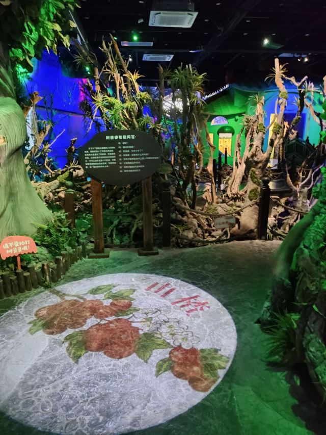 岭南大地百草园旅行图片 2