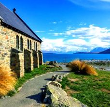 好牧羊人教堂-特卡波湖-iQOO🐮