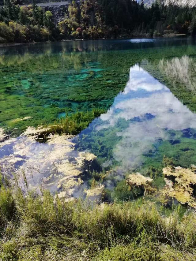 九寨沟景区五彩池观景台旅行图片 3